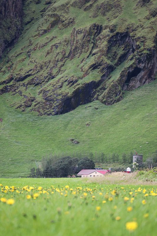 Green cliffs above a farm and a meadow of yellow flowers